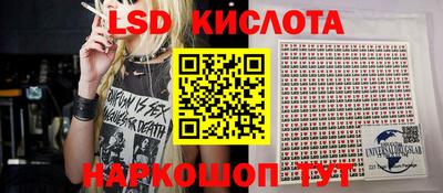 индика Шелехов