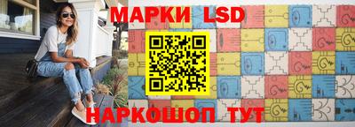 индика Шелехов