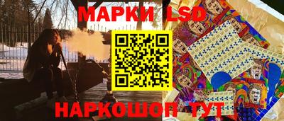 индика Шелехов