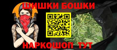 индика Шелехов