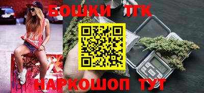 индика Шелехов