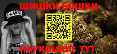 индика Шелехов