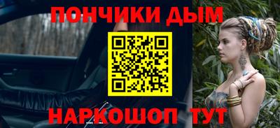 индика Шелехов