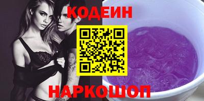 индика Шелехов