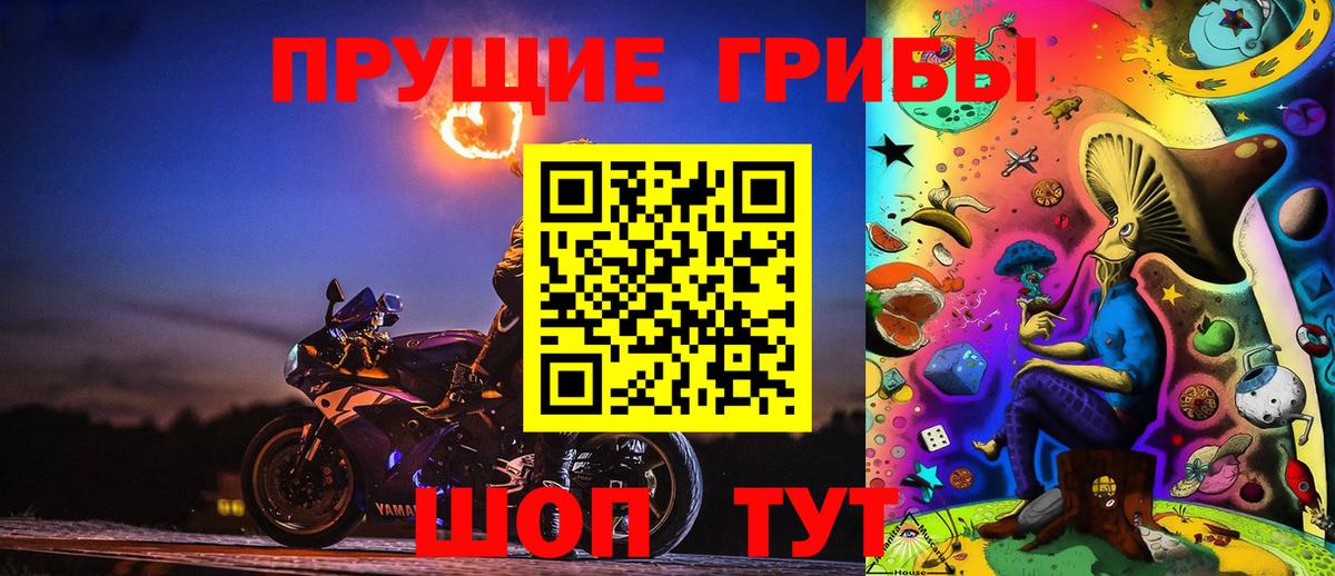 Псилоцибиновые грибы мицелий Гусь-Хрустальный